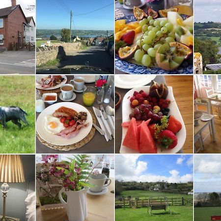 Blagdon School Farm Bed & Breakfast エクステリア 写真