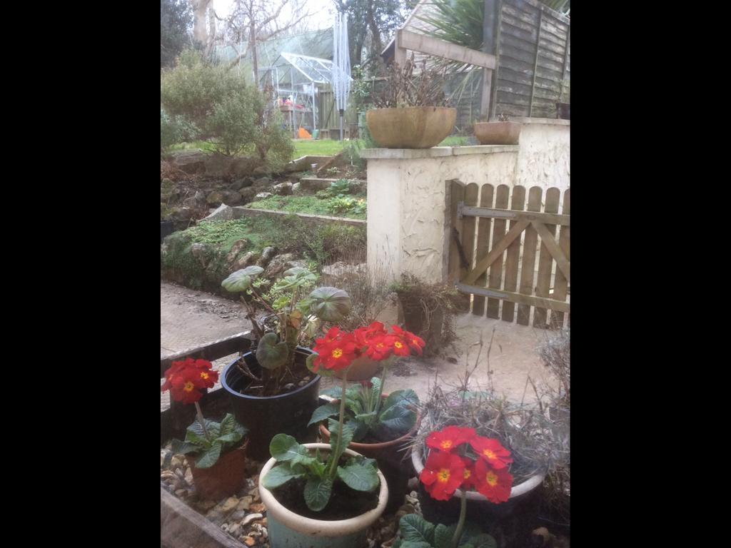 Blagdon School Farm Bed & Breakfast エクステリア 写真