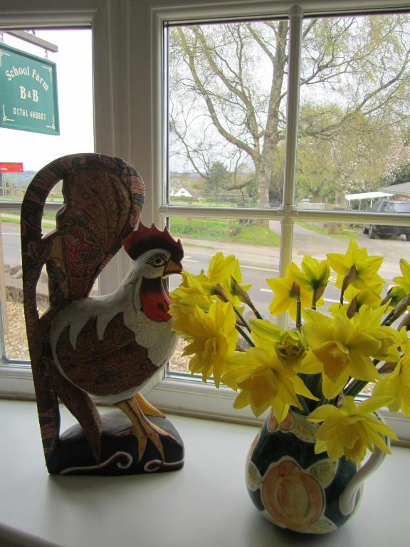 Blagdon School Farm Bed & Breakfast エクステリア 写真