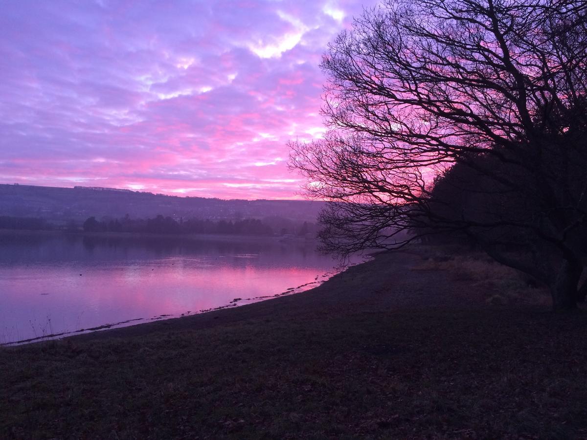 Blagdon School Farm Bed & Breakfast エクステリア 写真