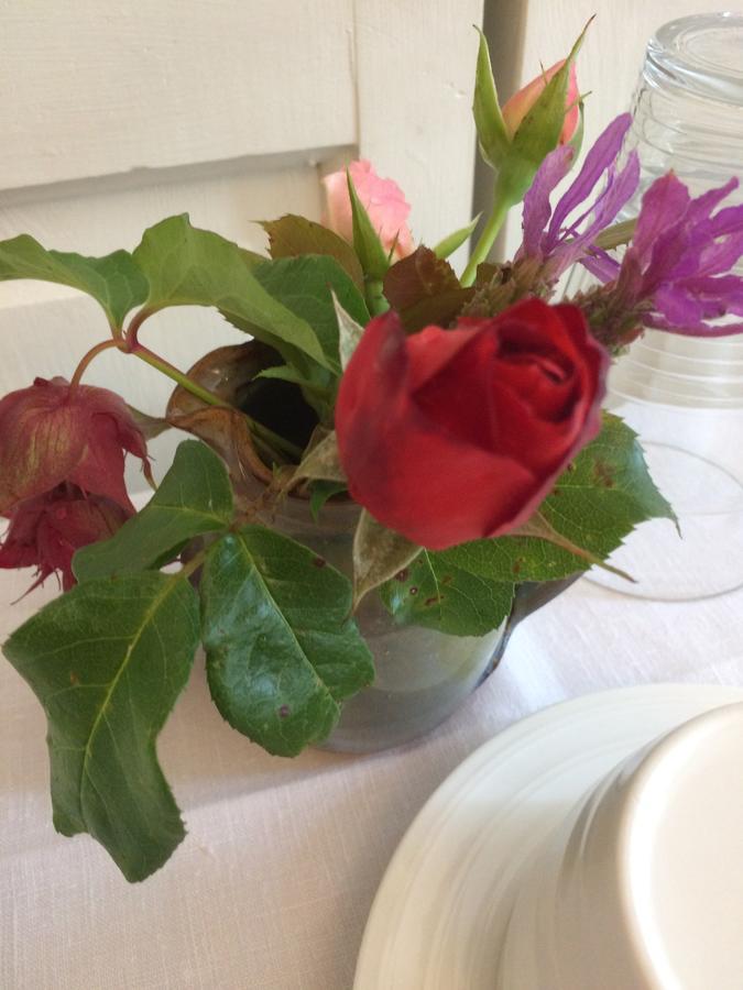 Blagdon School Farm Bed & Breakfast エクステリア 写真