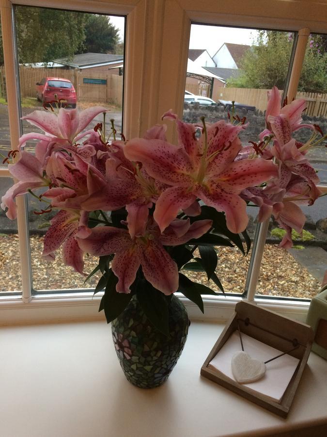 Blagdon School Farm Bed & Breakfast エクステリア 写真
